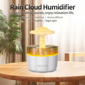 Rain Cloud Humidifier